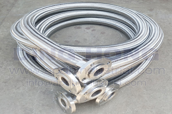 Flange flexible hose assembly